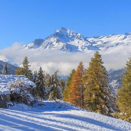 Les Balcons Proche Parc National Vanoise Appartements 2 Pieces 6 Pers Montagne Termignon Exterior photo