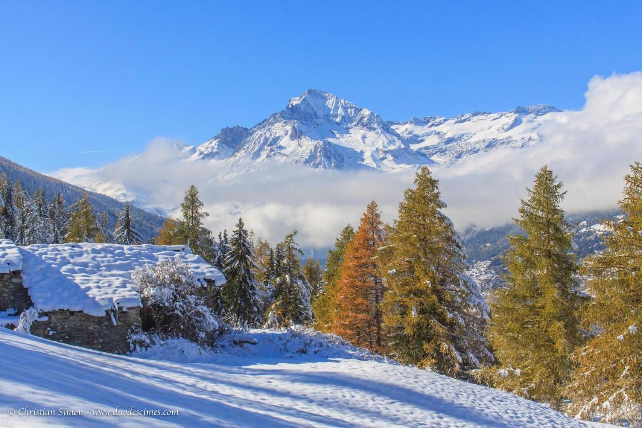 Les Balcons Proche Parc National Vanoise Appartements 2 Pieces 6 Pers Montagne Termignon Exterior photo